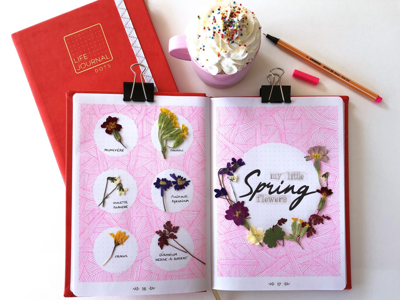 herbier-double-page-printemps-bullet-journal-inspiration-fleurs-sechées