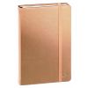 Carnets Lignées