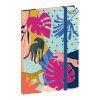 Carnets Lignées
