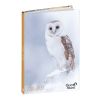 Agendas année scolaire Journalier
