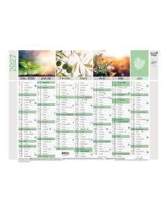 Calendriers 14 mois