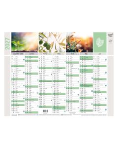 Calendriers 14 mois