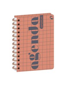 Agendas année scolaire Perpétuel