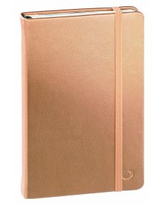 Carnets Lignées