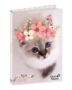 Agendas année scolaire Journalier