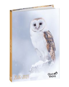 Agendas année scolaire Journalier
