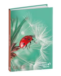 Agendas année scolaire Journalier