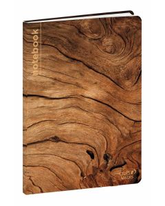 Carnets Lignées