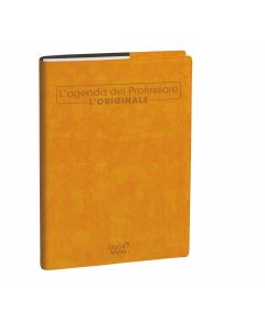 Agendas enseignants 2 semaines sur 2 pages