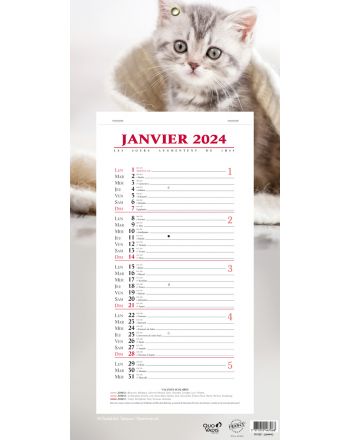 Calendriers 12 mois Animaux